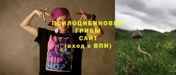 гашик Липки