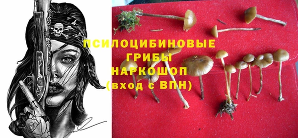 гашик Липки